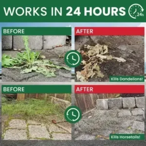 Kill Bamboo, Stumps & Invasive Weeds for Good – LIMETOW® Root Killer Powder