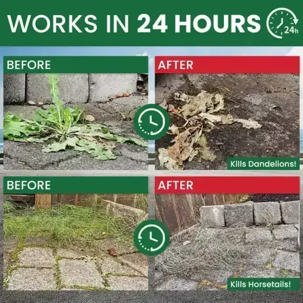 Kill Bamboo, Stumps & Invasive Weeds for Good – LIMETOW® Root Killer Powder