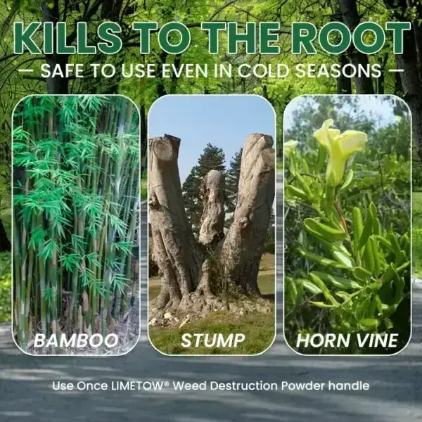 Kill Bamboo, Stumps & Invasive Weeds for Good – LIMETOW® Root Killer Powder