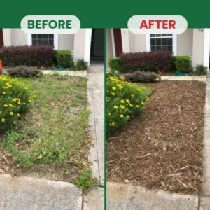 Kill Bamboo, Stumps & Invasive Weeds for Good – LIMETOW® Root Killer Powder