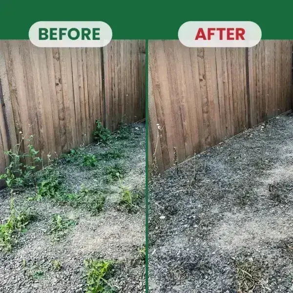 Kill Bamboo, Stumps & Invasive Weeds for Good – LIMETOW® Root Killer Powder