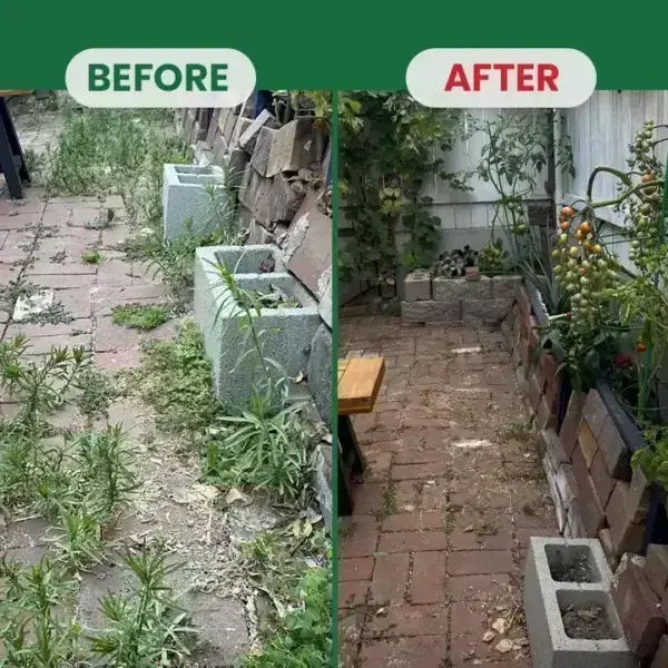 Kill Bamboo, Stumps & Invasive Weeds for Good – LIMETOW® Root Killer Powder