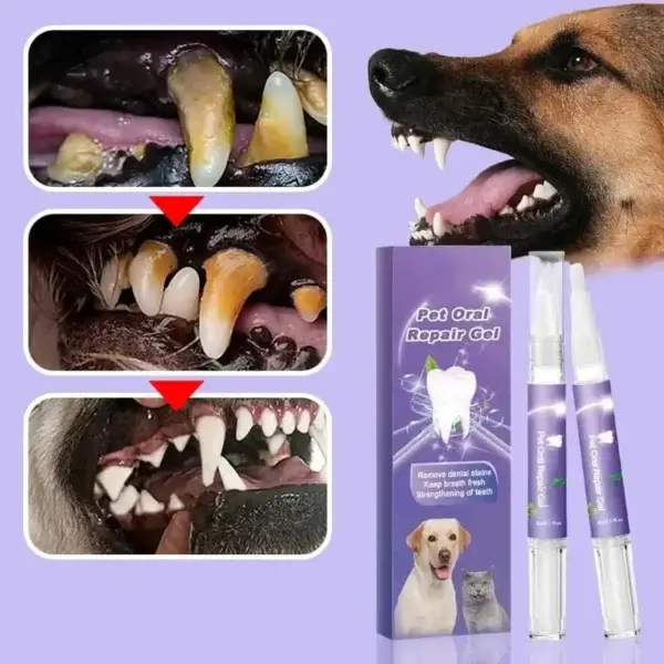 Pawzioo™ Pet Oral Repair Gel – Freshen Your Pet’s Breath & Improve Gum Health Fast!