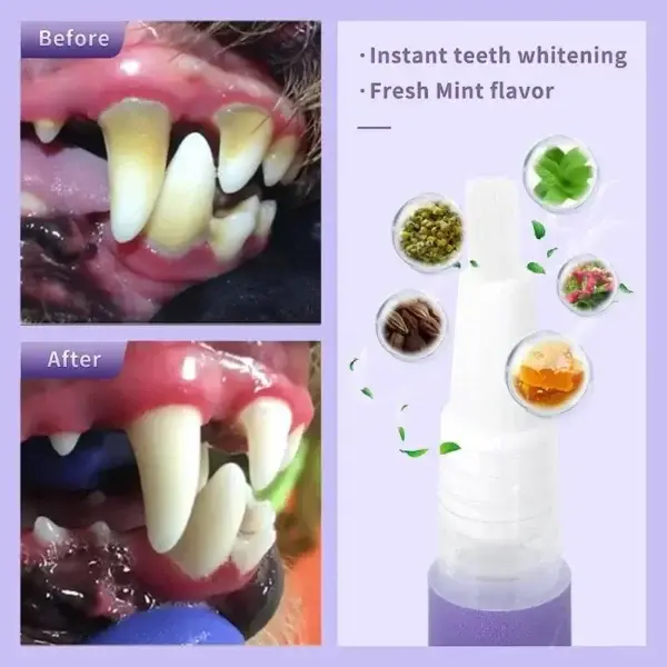 Pawzioo™ Pet Oral Repair Gel – Freshen Your Pet’s Breath & Improve Gum Health Fast!